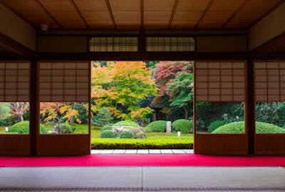 Le jardin japonais, l'univers en miniature